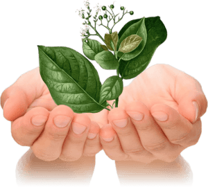 duoclieuhoabinh.com.vn